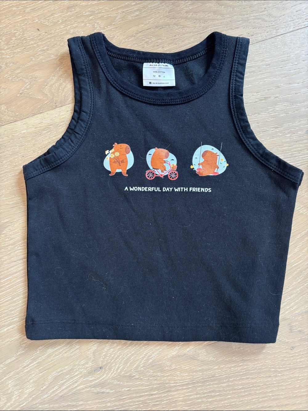 Capybara crop top